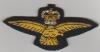 RAF Gold Eagle QC blazer badge