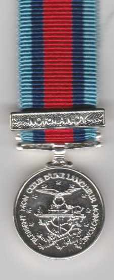 Normandy Veterans unofficial miniature medal - Click Image to Close