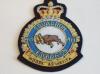 419 Sqdn Royal Canadian Air Force QC blazer badge