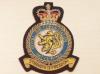 RAF Station Wittering blazer badge