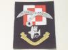 307 Squadron Polish Air Force blazer badge