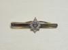 Worcestershire and Sherwood Foresters tie slide