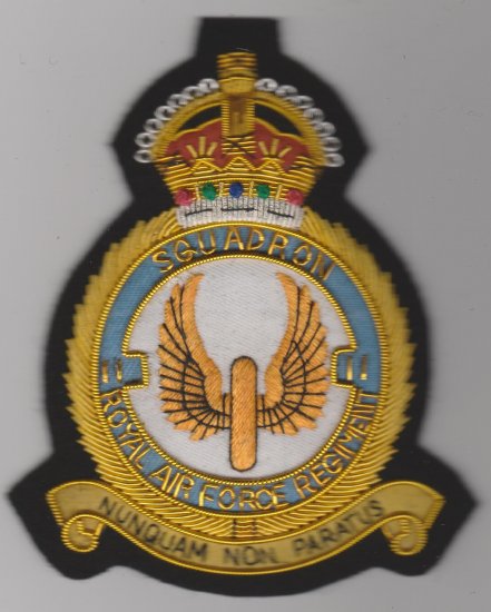 2 Squadron RAF Regiment King's Crown blazer badge - Click Image to Close