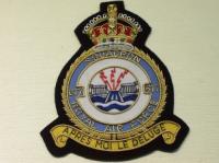 617 Squadron RAF KingsCrown blazer badge