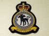 98 Squadron RAF QC blazer badge