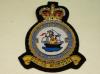 118 Squadron RAF QC blazer badge
