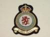 3506 Fighter Control Unit RAAF blazer badge