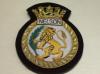 HMS Nelson blazer badge