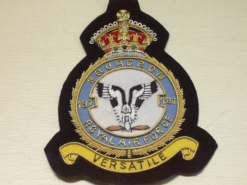 187 Squadron Royal Air Force King's Crown wire blazer badge - Click Image to Close