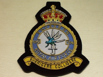 194 Sqdn KC RAF blazer badge - Click Image to Close