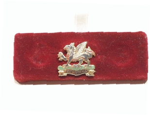 Buffs Regiment lapel badge - Click Image to Close