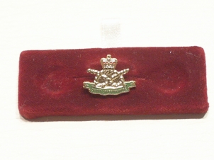 South Staffordshire Regiment lapel pin - Click Image to Close