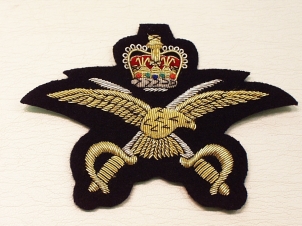 RAF Physical Training Instructor blazer badge - Click Image to Close