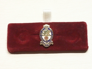 Princess of Wales Royal Regiment lapel pin - Click Image to Close