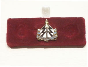 Reconaisance Corps lapel pin - Click Image to Close