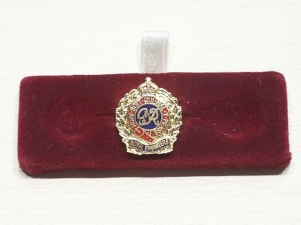 Royal Engineers GV1 lapel pin - Click Image to Close