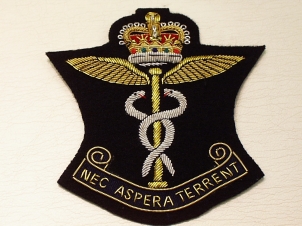 RAF Medical Command blazer badge 112 - Click Image to Close