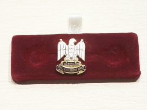 Royal Scots Dragoon Guards lapel pin - Click Image to Close