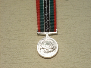Allied Ex Prisoner of War miniature medal - Click Image to Close