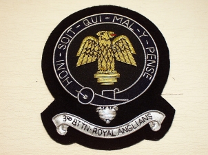 3rd Battalion Royal Anglians blazer badge 119 - Click Image to Close