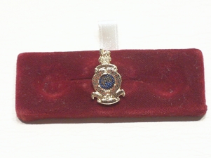Royal Marines lapel pin - Click Image to Close