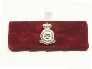 RAF Coastal Command lapel pin - Click Image to Close
