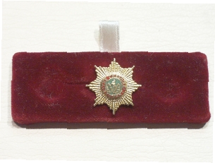 Cheshire Regiment lapel badge - Click Image to Close