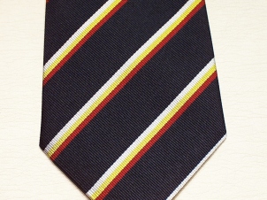 3rd Carabiniers (Prince of Wales' Dragoon Guards) Silk striped t - Click Image to Close