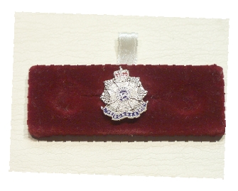 Border Regiment lapel badge - Click Image to Close