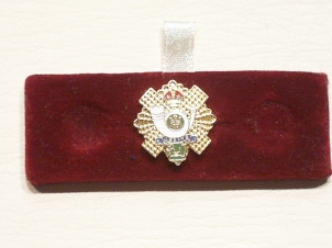 Highland Light Infantry lapel badge - Click Image to Close