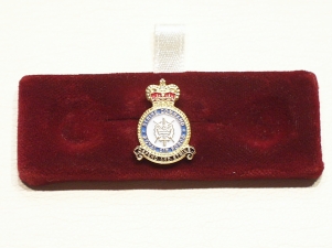 RAF Strike Command lapel pin - Click Image to Close