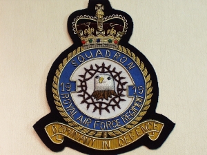 19 Squadron RAF Regiment blazer badge - Click Image to Close