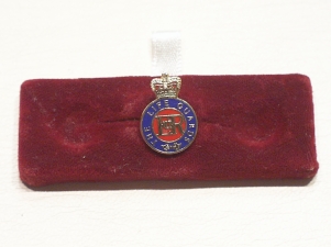 Life Guards lapel pin - Click Image to Close