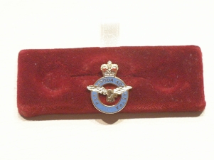 RAF lapel pin - Click Image to Close