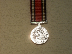 Queen's Champion Shot Medal (Army) miniature medal - Click Image to Close