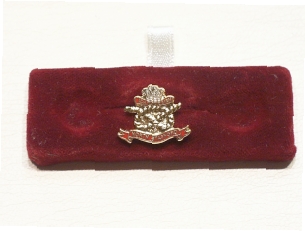 North Staffordshire Regiment lapel pin - Click Image to Close