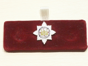 Royal Dragoon Guards lapel badge - Click Image to Close