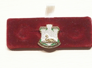 Devon and Dorset Regt lapel badge - Click Image to Close