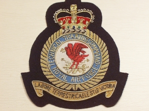 RAF Technical Training Command blazer badge - Click Image to Close