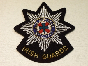 Irish Guards with title blazer badge - Click Image to Close