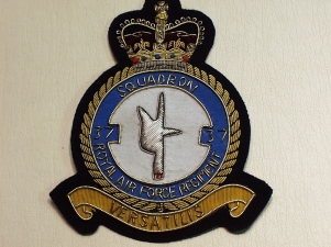 37 Squadron RAF Regt blazer badge - Click Image to Close