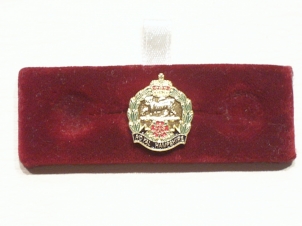 Royal Hampshire regiment lapel badge - Click Image to Close
