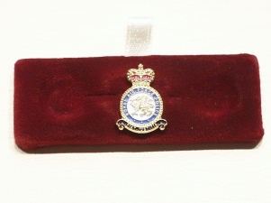RAF Police lapel pin - Click Image to Close