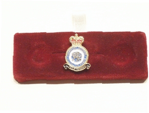 RAF Transport Command lapel pin - Click Image to Close