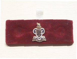 Queens Royal Hussars lapel badge - Click Image to Close
