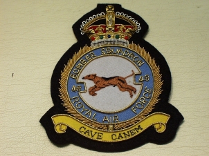 49 Squadron KC RAF blazer badge - Click Image to Close