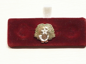 Cameronians lapel badge - Click Image to Close