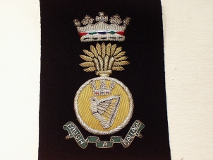 Royal Irish Fusiliers (Full Crest) blazer badge 67 - Click Image to Close