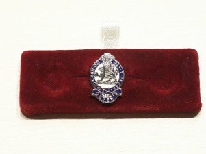 Queens Regiment modern lapel pin - Click Image to Close