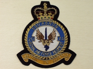 20 Squadron RAF Regt blazer badge - Click Image to Close